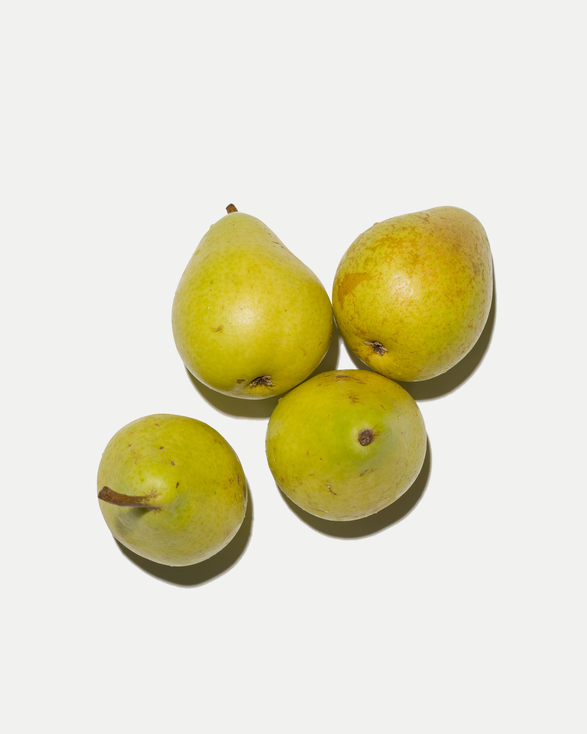 Pera Ercolini